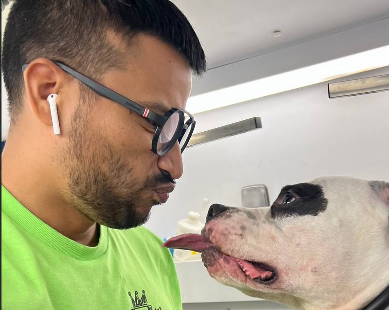 Jacksonville Area Appointments available Mr Anthony Mobile Grooming